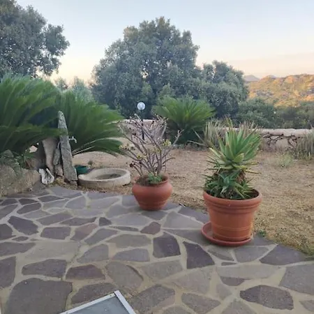 Belvedere דירה Enas