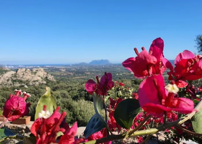 Appartamento Belvedere *